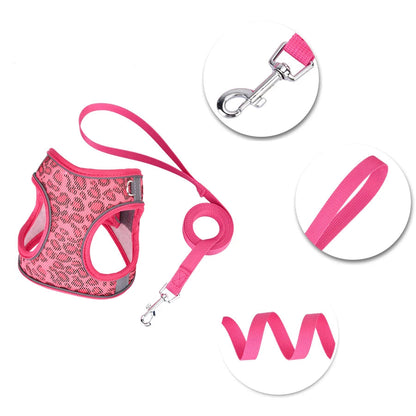 S5c22e0bb200a464ea38a85f0338b1e9fD