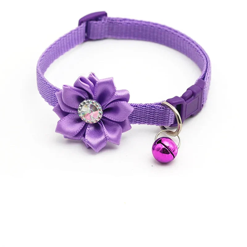 S635243ad133d4ad1b6f9f7ee78d5c559m