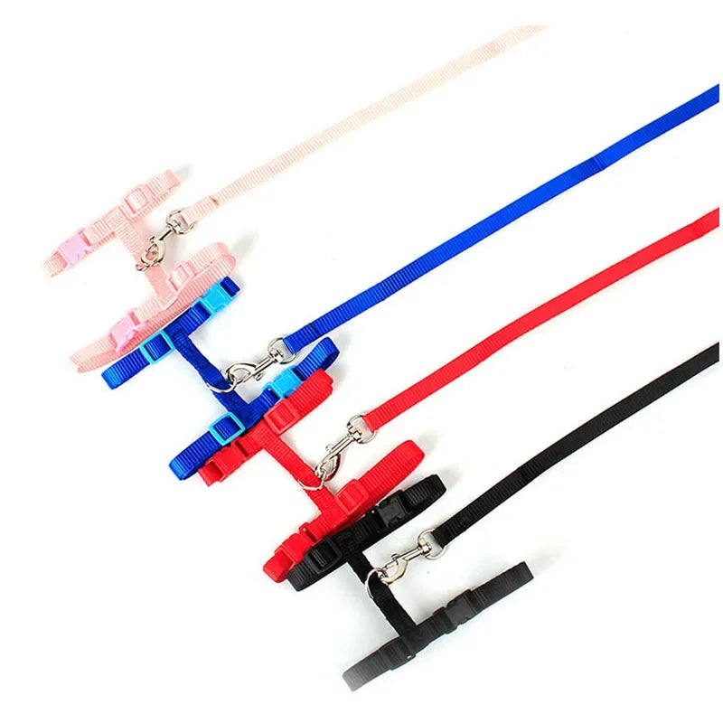 S636b89ab99f84bcfaba09438fd92f458n