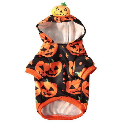 Gatto Zucca Vestito Animale Costumi Abbigliamento Halloween Creativo