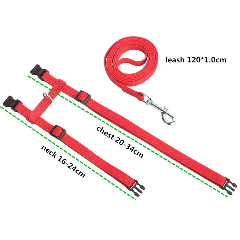 S6d2f4f4ca7b8444b8045572696e9a06d4