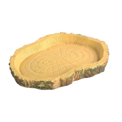 Piatto Alimenti Rettili Ciotola Materiale Resina Decorazione Gabbie Rettili