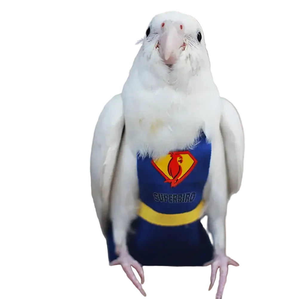 S82030952336f4724beef4c152732c665y