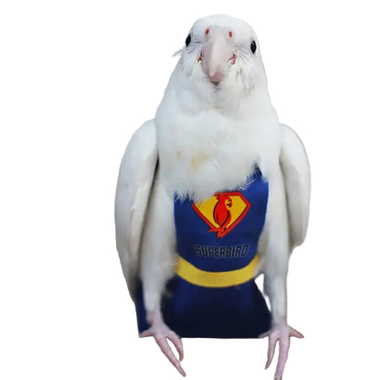 S82030952336f4724beef4c152732c665y