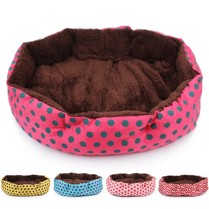 S895e4d2c21d14a468e45ccf6554a22e9V