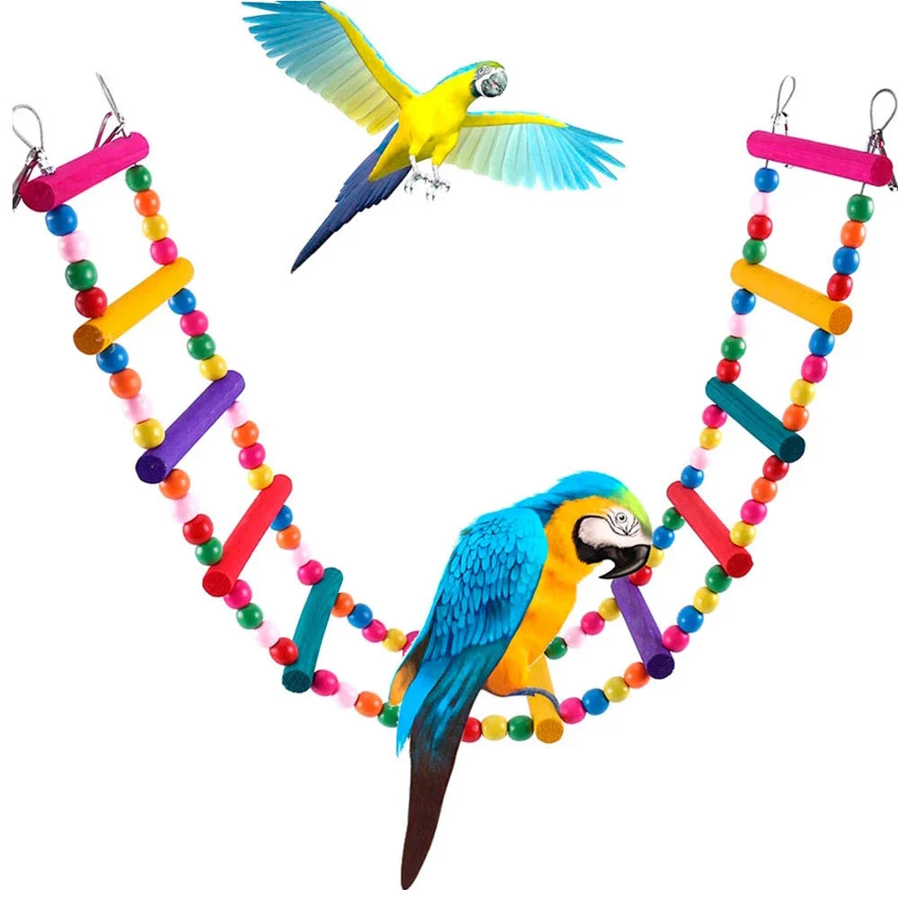 S8ba175b6f80c42acade278ab9d6d24e4s