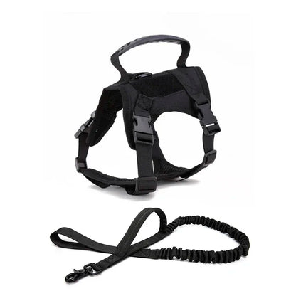 S991e63c5027e47d7add536a0307b8dbbl