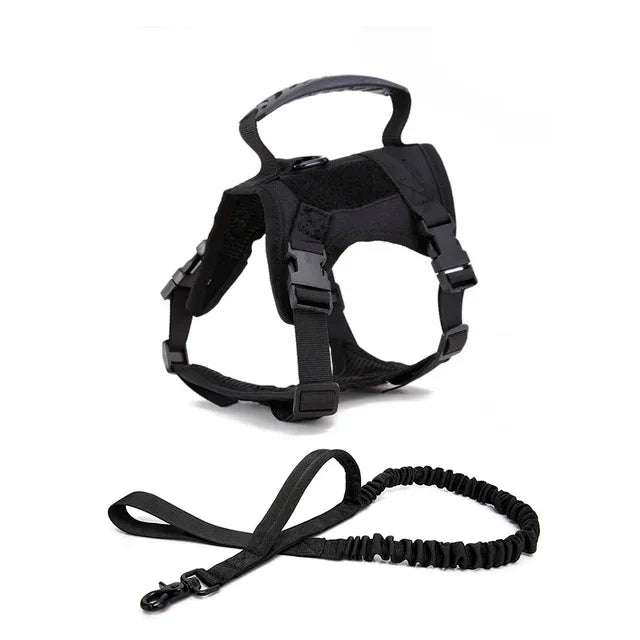 S991e63c5027e47d7add536a0307b8dbbl