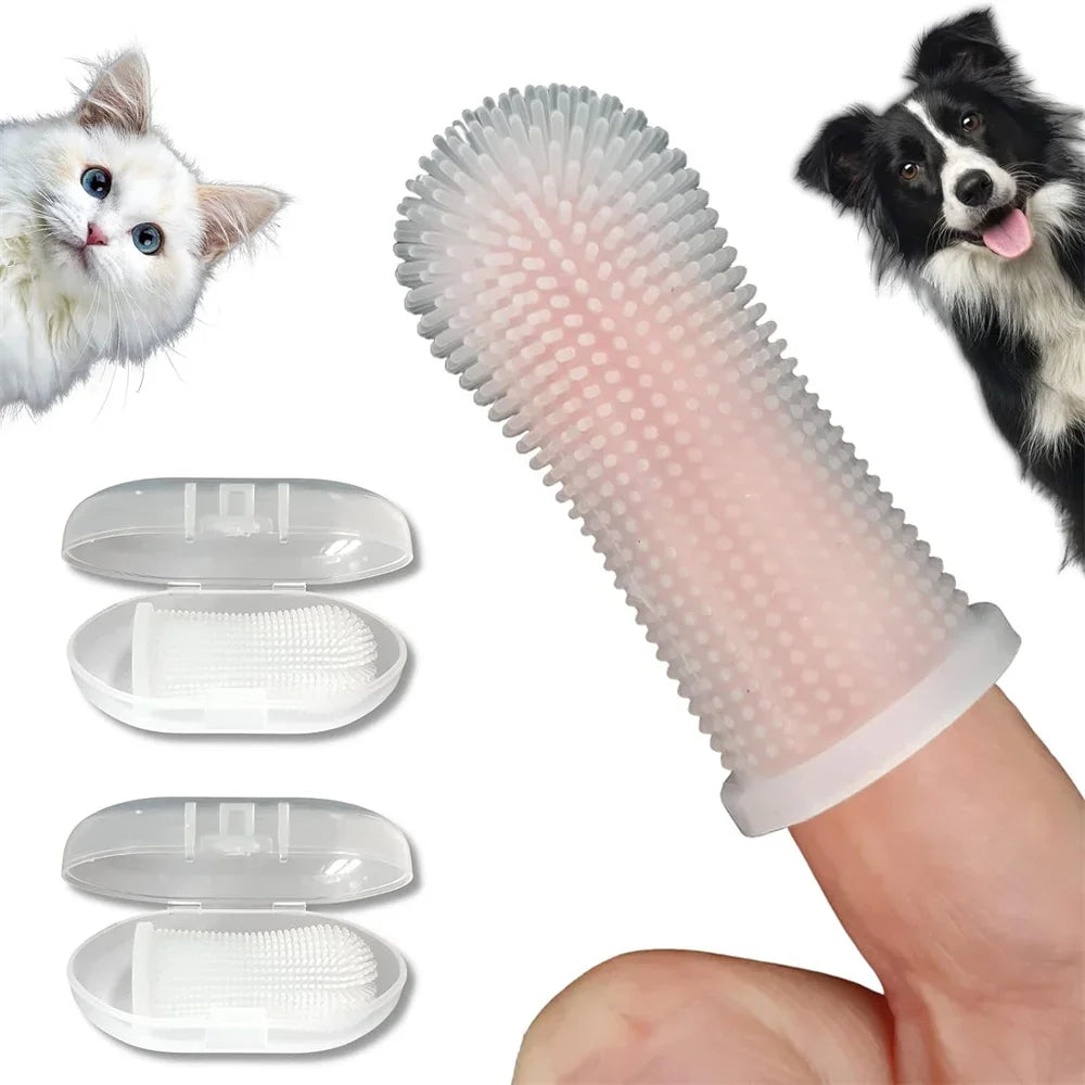 S9c3a89b090ee4c8c8e8a92ab397bbae62