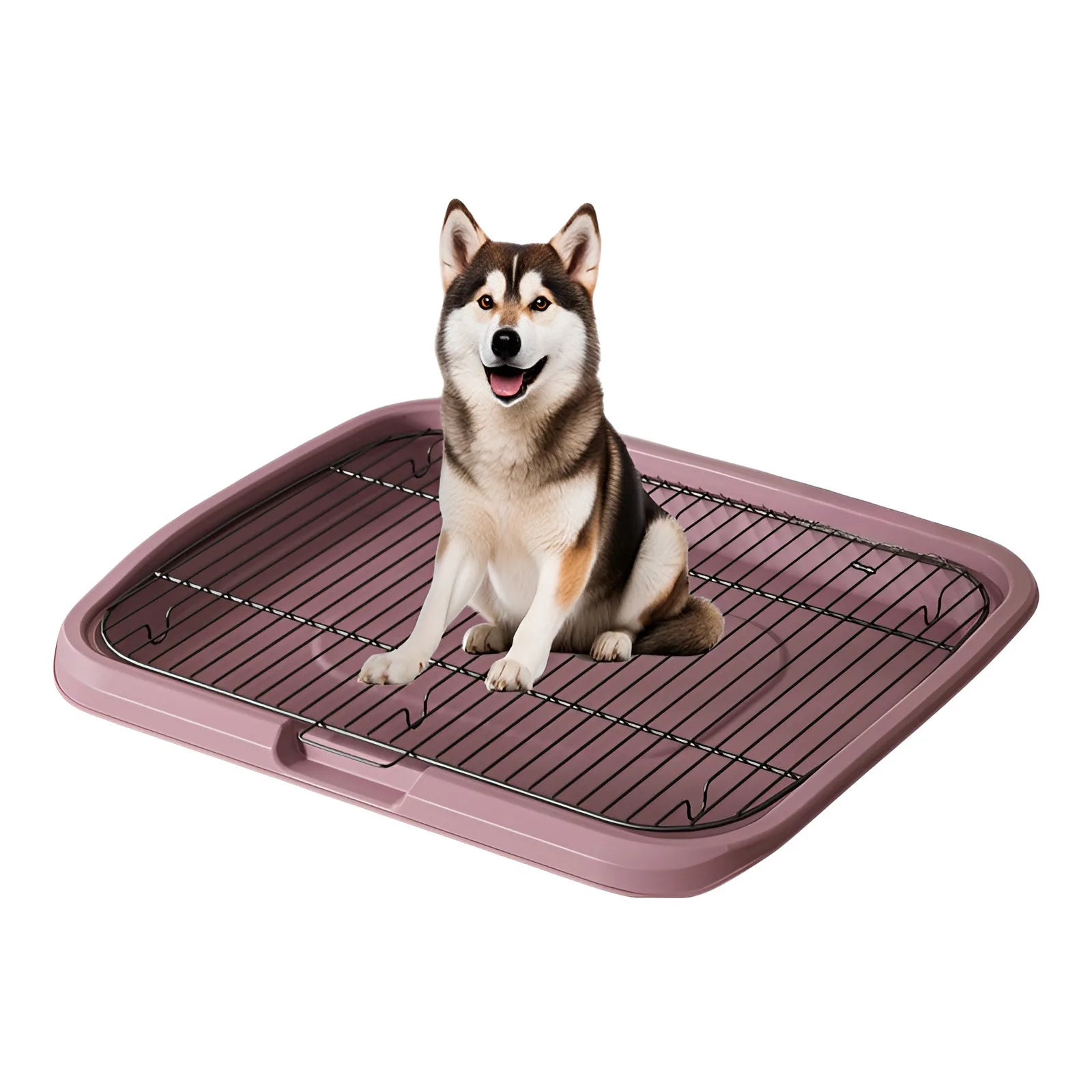 Sb009329fe02a4458807a12929ba8cea1B