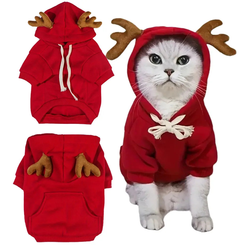 Sb5b2a6845d164435bde7f1247b9de3f0l