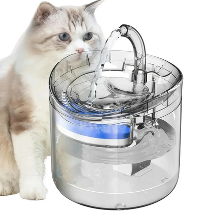 Dispenser Acqua Fontanella Animali Domestici Flusso Acqua Trasparente