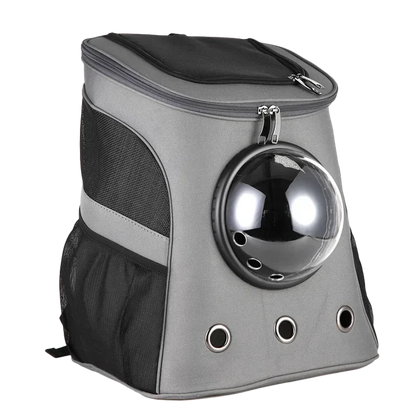 Sbd6b7f47b9544d88878dec2a73fb5ca8c