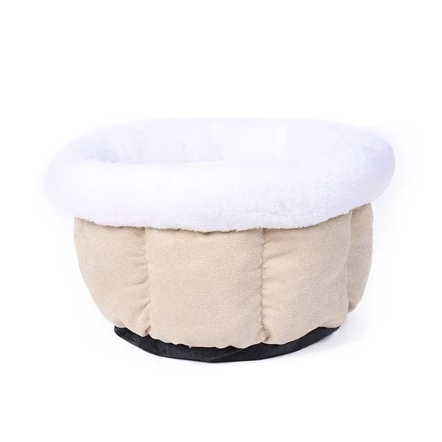 Sbfe21b96df0b45e4ab1ef8f502ca59f18