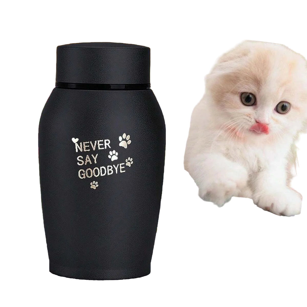 Sc596556b39354a4eb3ca59ee522023084