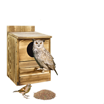 Gabbia Uccelli Legno Piccole Dimensioni Oblò Marrone Esterno