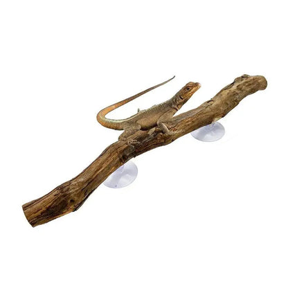 Se6325aff08c34942a6f202555092764cI