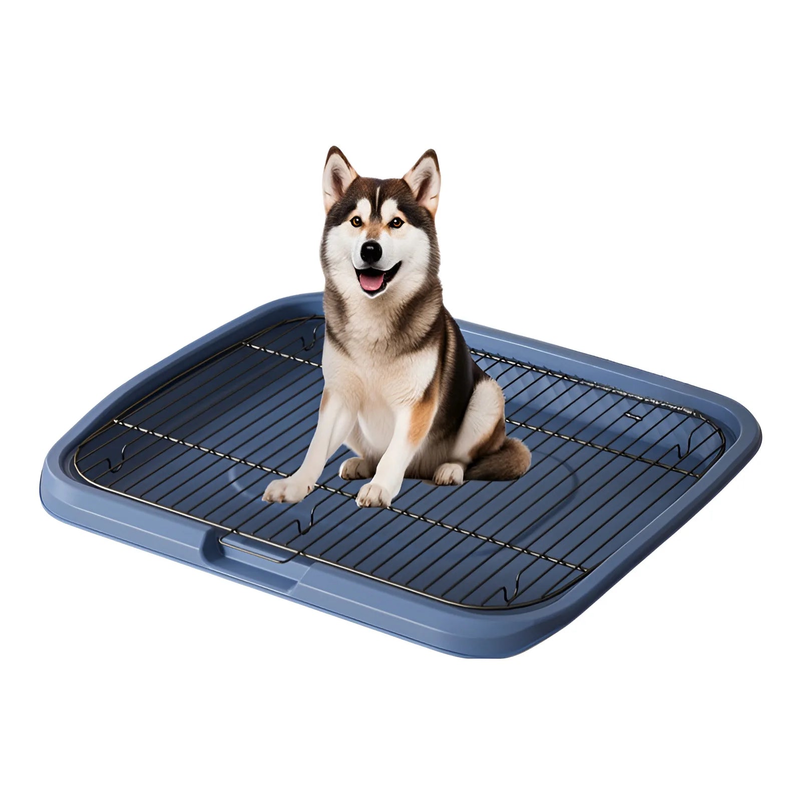 Sefb709b5f59e46a18cd183ee20fc4bb3t