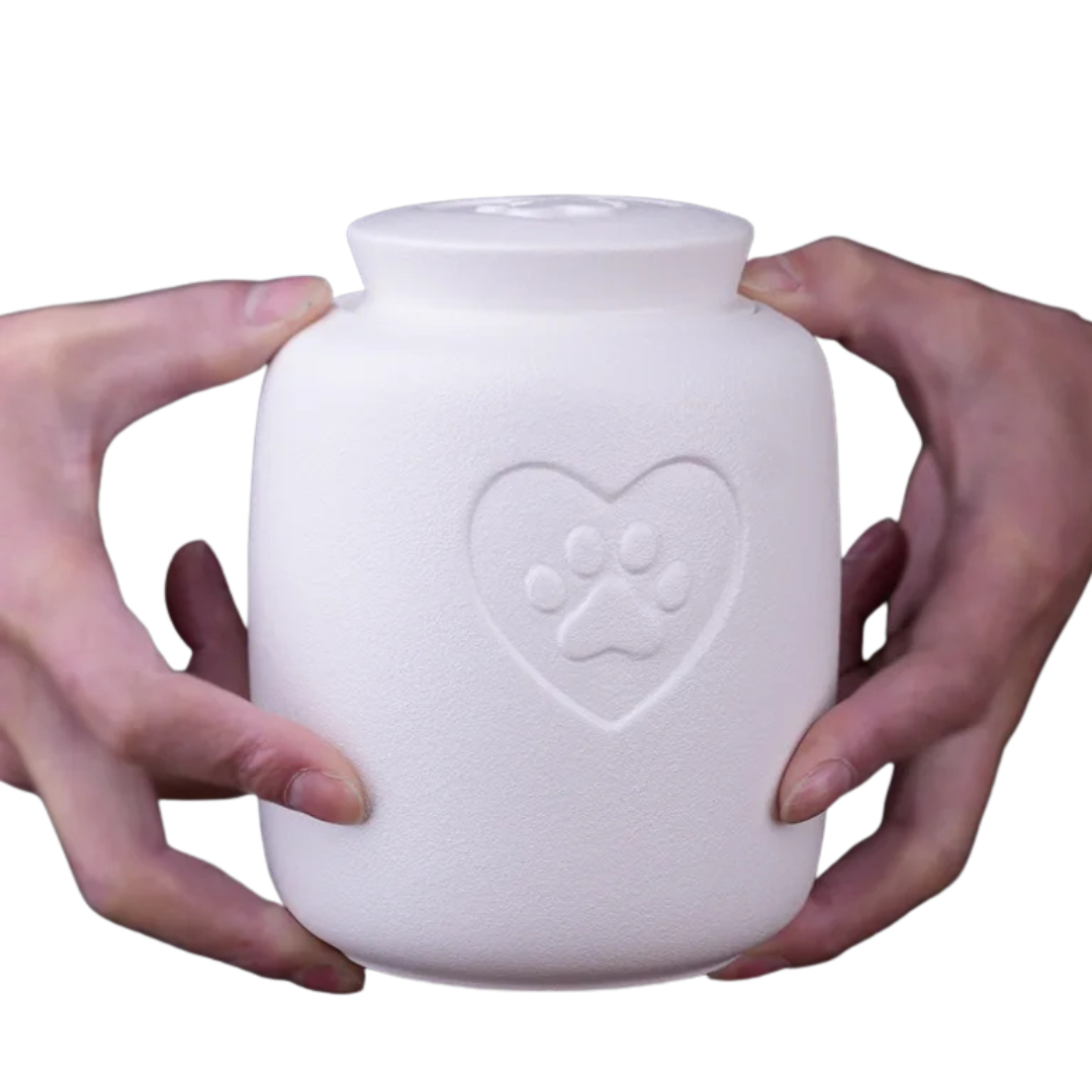 Urna Animali Domestici Colore Bianco Ceramica Memoriale Commemorativo