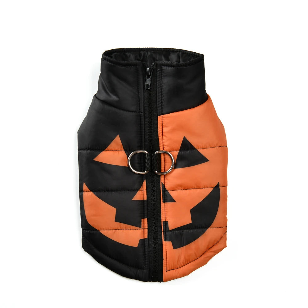 Sf5566cead0d048e1b4cbf2119d0ca842C