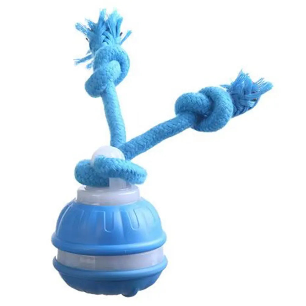 Sf561be9cff5742979149431f5c2322c9l