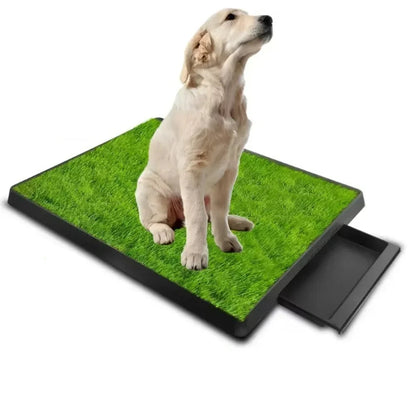 Sf62569673b2b42a2a2b1ebe6e1716d51u