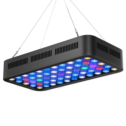 Luce Acquario  LED Controllo WiFi Controllo Intelligente App Tre Canali