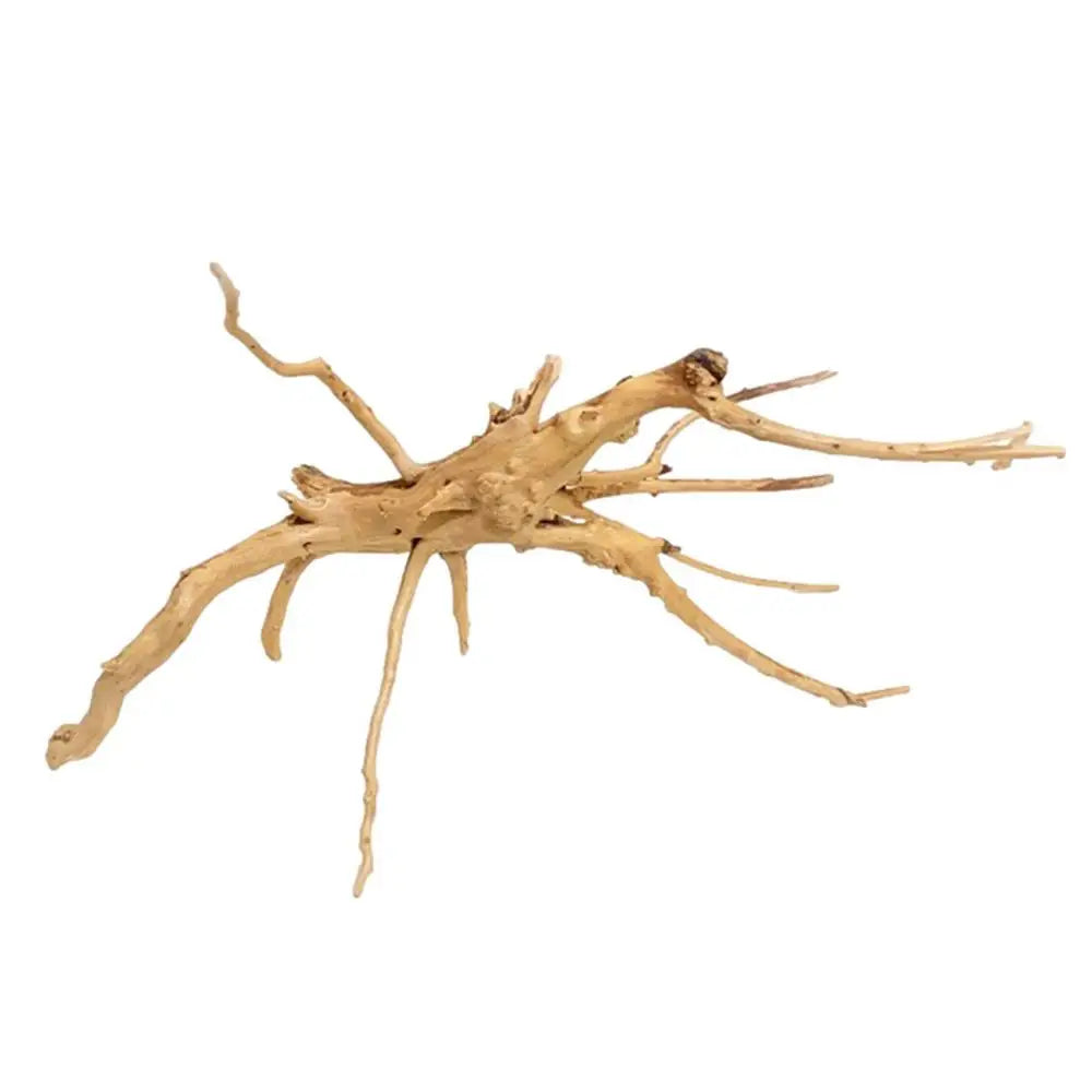 Piante Legno Radice  Rettile Rami  Accessori Habitat Gabbie Rettili