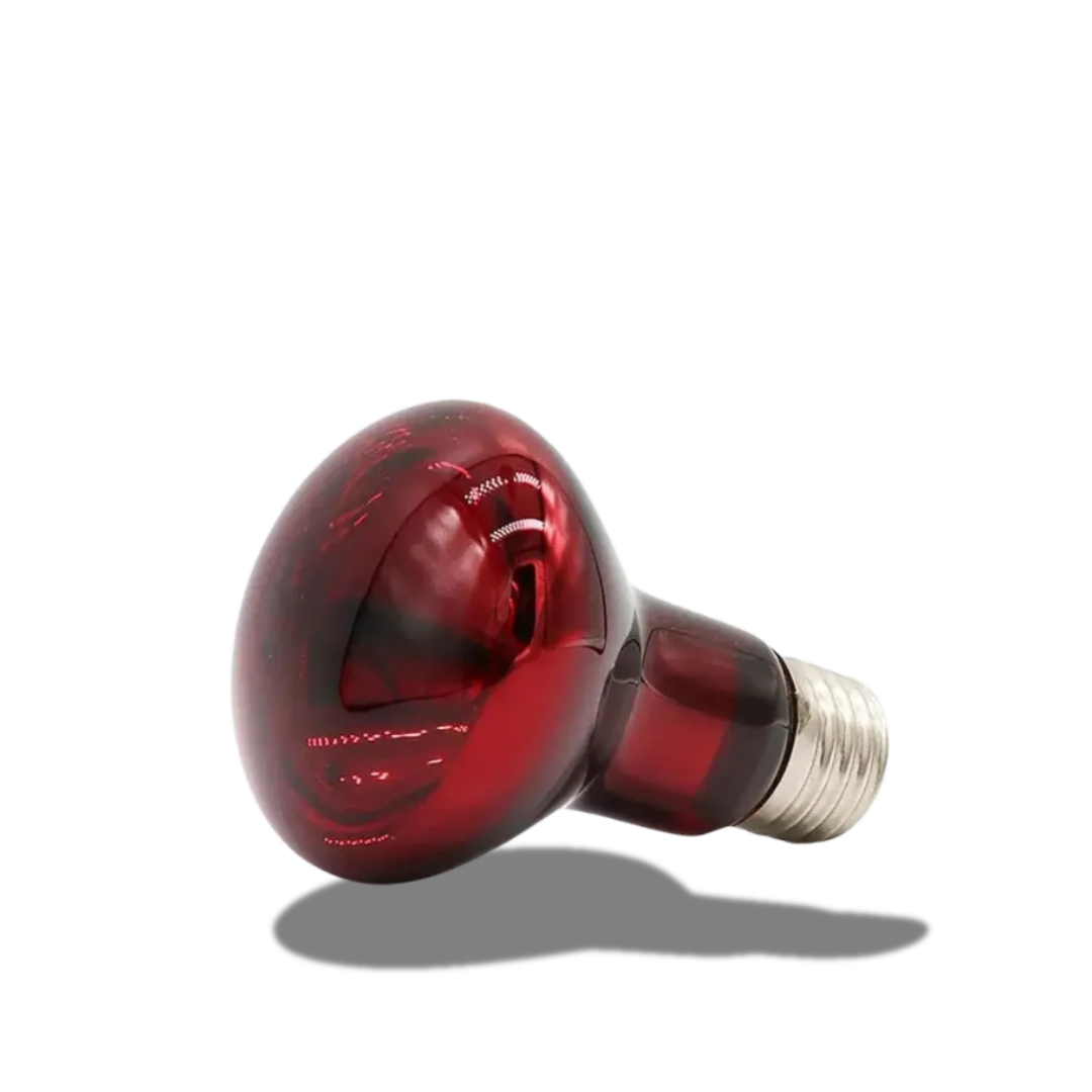 Lampada Riscaldante Rossa  Lampadina Isolamento Infrarossi Rettili Anfibi Serpente Lucertole