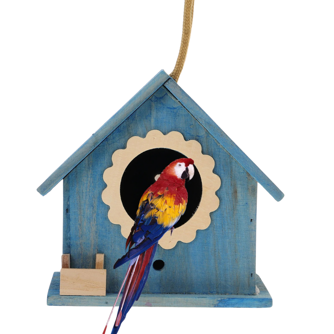 Rifugio Uccelli Piccola Casetta Diverse Colorazioni Sospesa Legno Decorazione