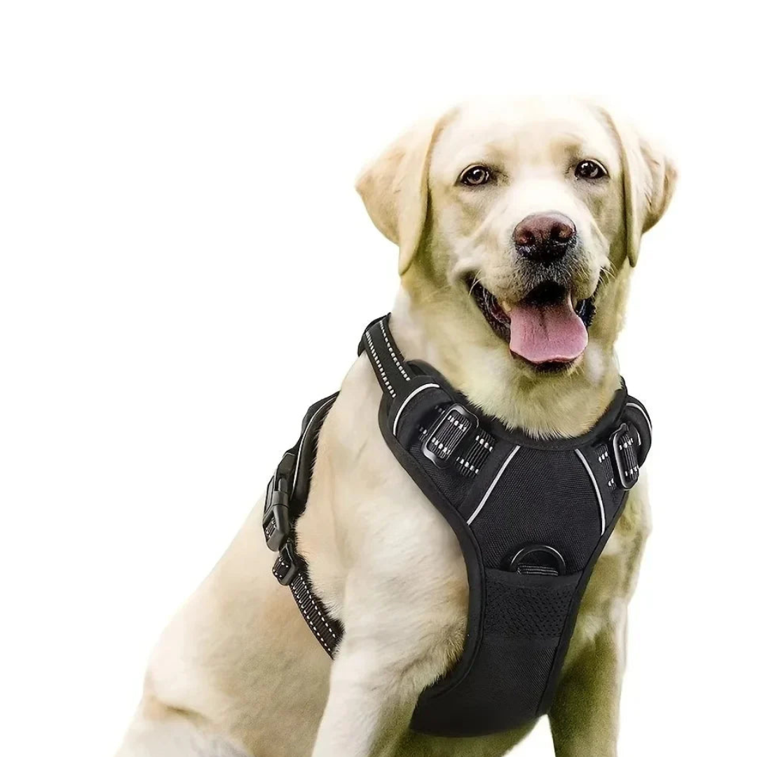 Pettorina Diverse Colorazioni Accessori Cani Passeggiata Presa Sicura