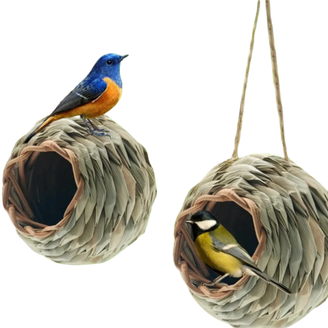 Nido Uccelli Rotondo Intrecciato Gabbia Uccelli Sospesa Rattan