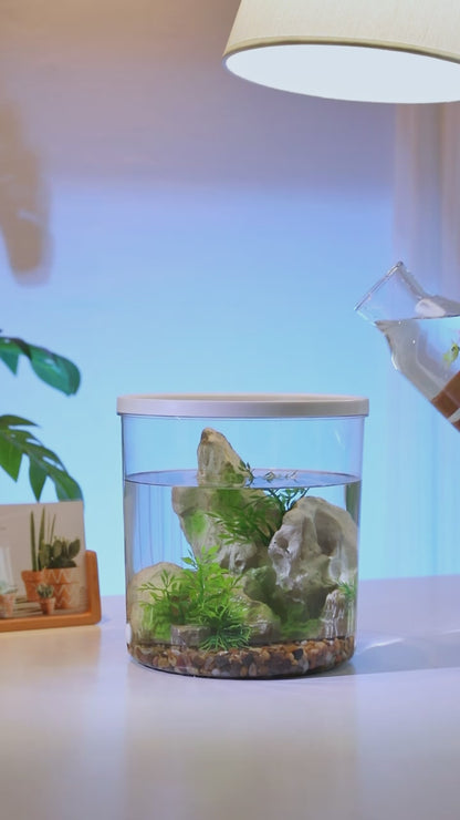 Acquario Colore Bianco Trasparente Plastica Resistente 360° Luci Silenzioso