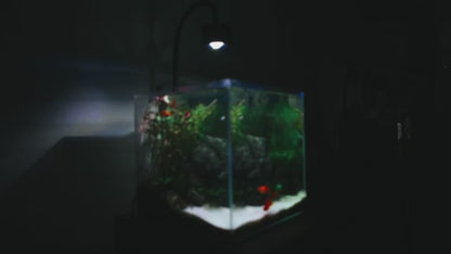 Luce Acquario LED Luce 4 Canali Telecomando Illuminazione Acquario