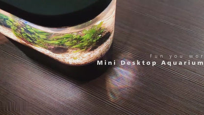 Acquario  USB Pompa Acqua Incorporata Luce LED Filtro Acquario