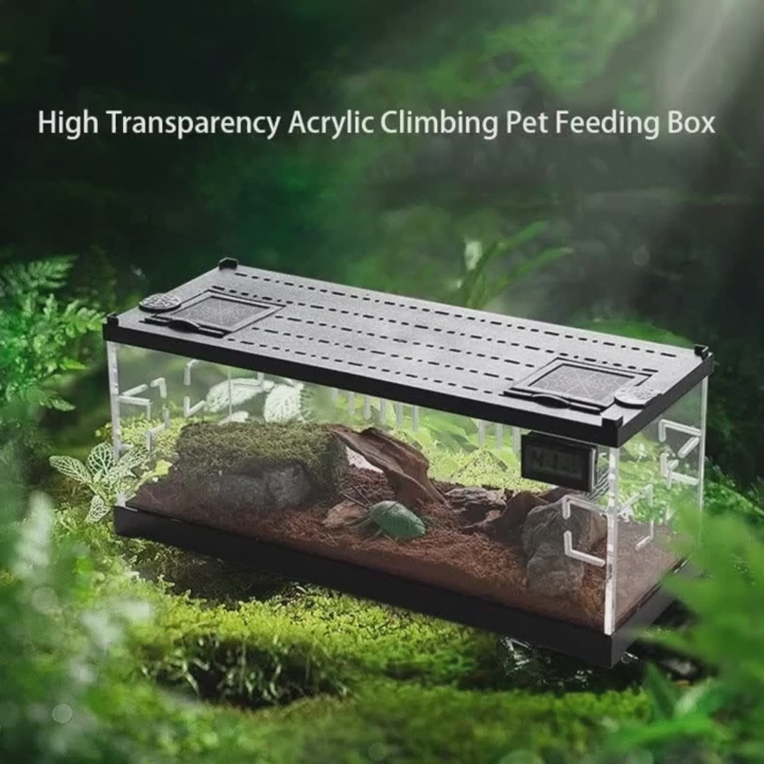 Gabbia Box Modello Con Luce Senza Trasparente Acrilico Luci LED Rettili