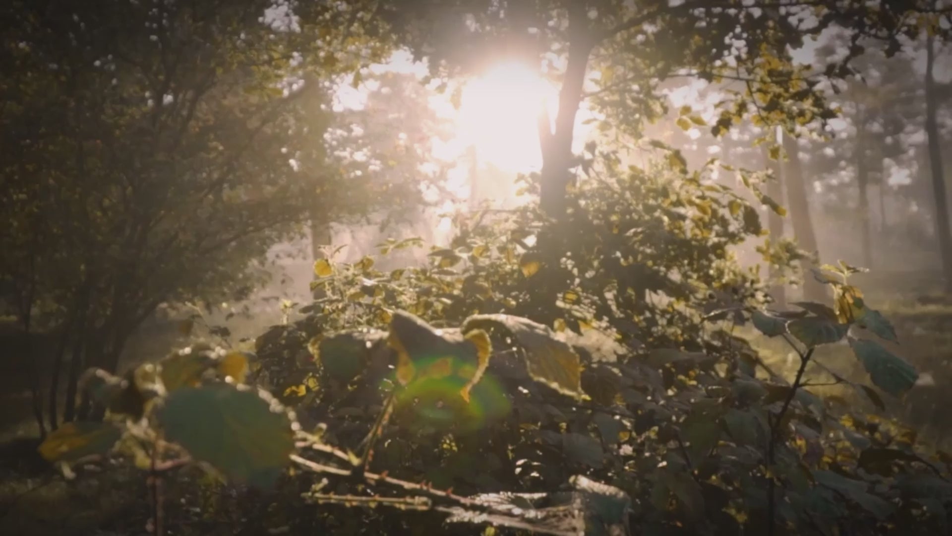 Grotta Nascosta Rettili Resina Forma Osso Decorazione Accessori Rettili