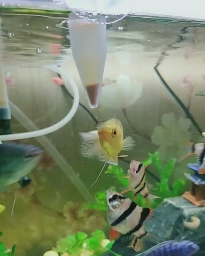 Mangiatoia Plastica Piccole Dimensioni Capacità 5ml Trasparente Cono Ventosa