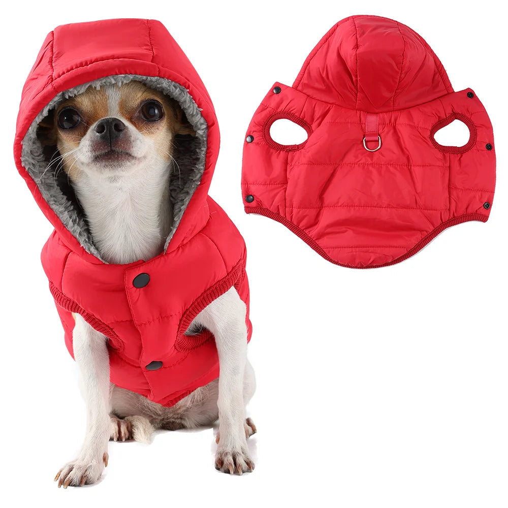 Giubbotto Cappuccio Animali Domestici Giacca Pile Diverse Colorazioni