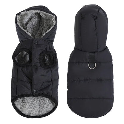 Giubbotto Cappuccio Animali Domestici Giacca Pile Diverse Colorazioni