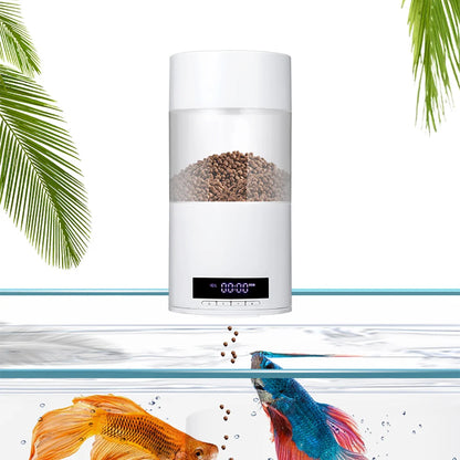 Scef2a1157a184580959538ff8962d44d8