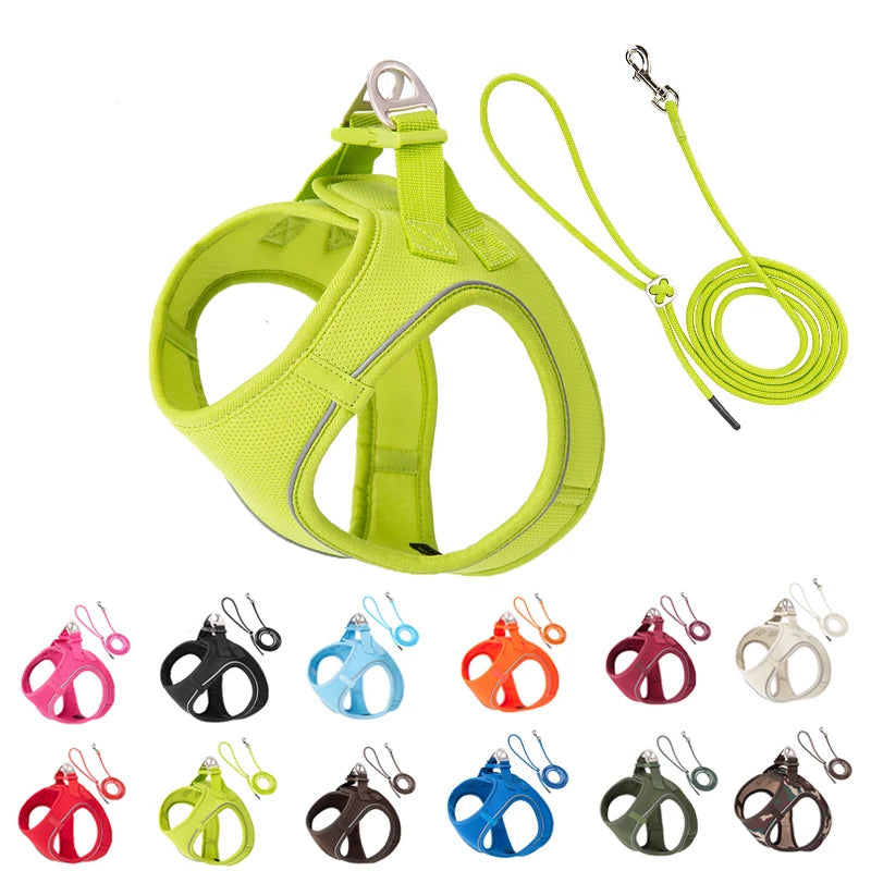 Guinzaglio Diversi Colori Pettorina Nylon Taglie Diverse Regolabile Sicurezza Cane Gatto