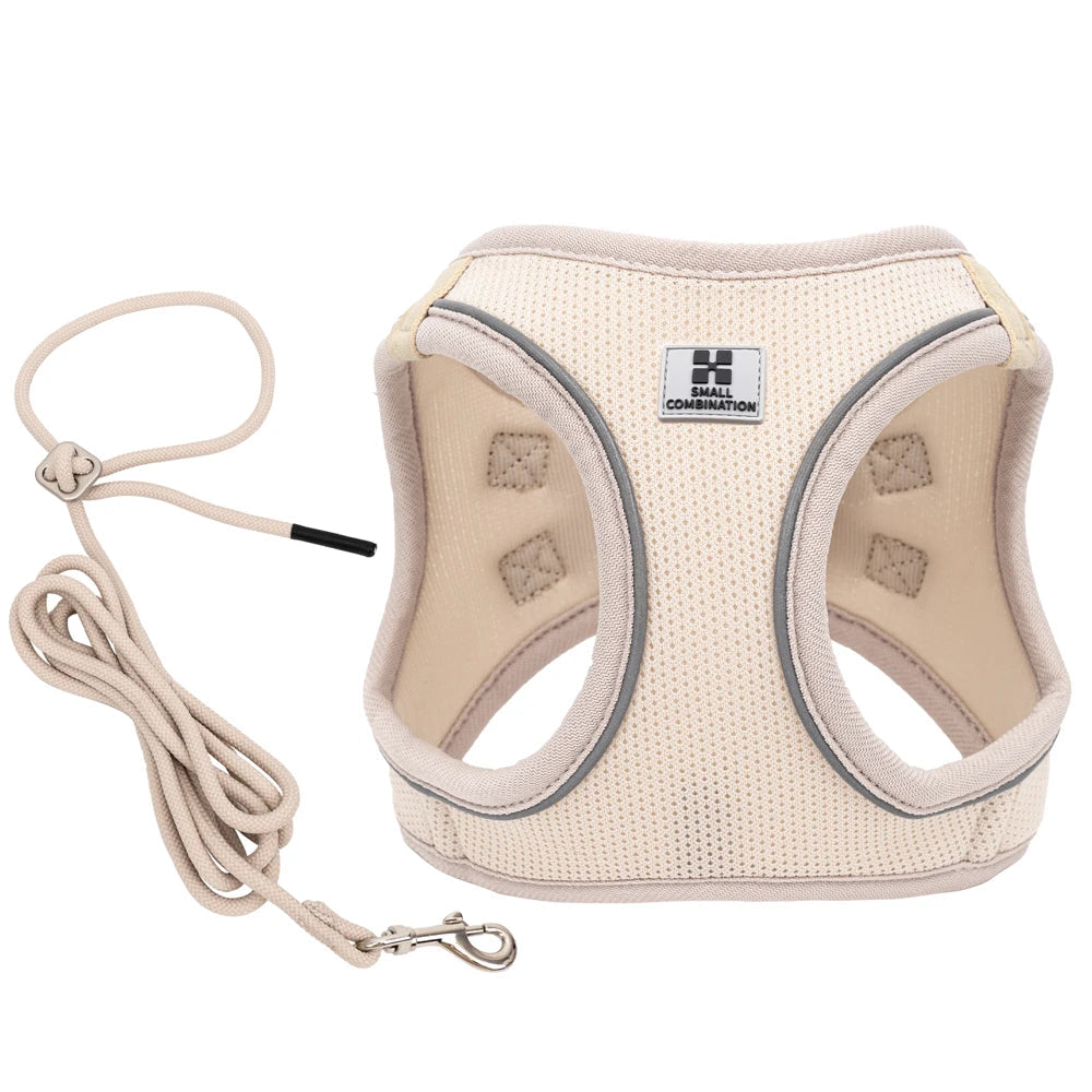 Guinzaglio Diversi Colori Pettorina Nylon Taglie Diverse Regolabile Sicurezza Cane Gatto