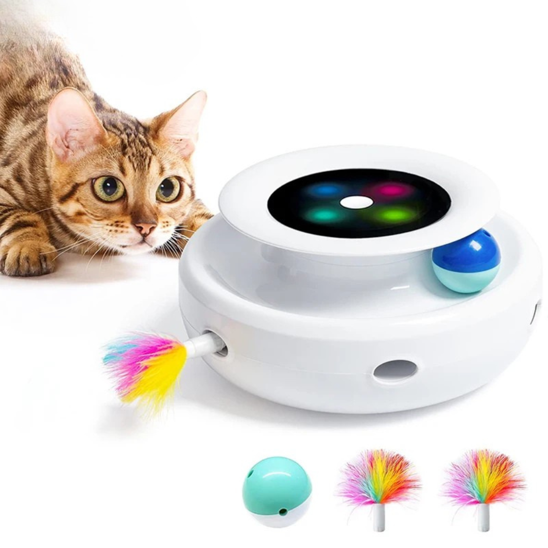 Gioco Automatico Piuma Divertimento Palla Giocattolo Gatto Cane 5 Modalità Elettronica Interattiva