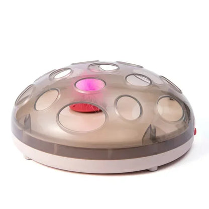 Giocattolo Elettrico Giradischi Ricarica USB Innovativo Creativo Intrattenimento Animali domestici