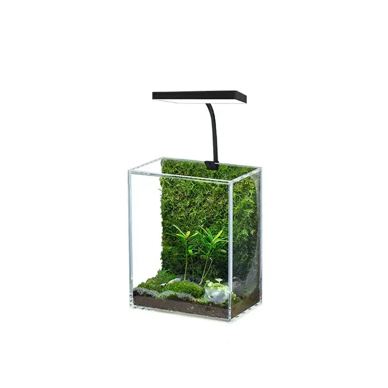 Luce Lampada Acquario USB Accessori Acquari Piccole Dimensioni Colore Nero